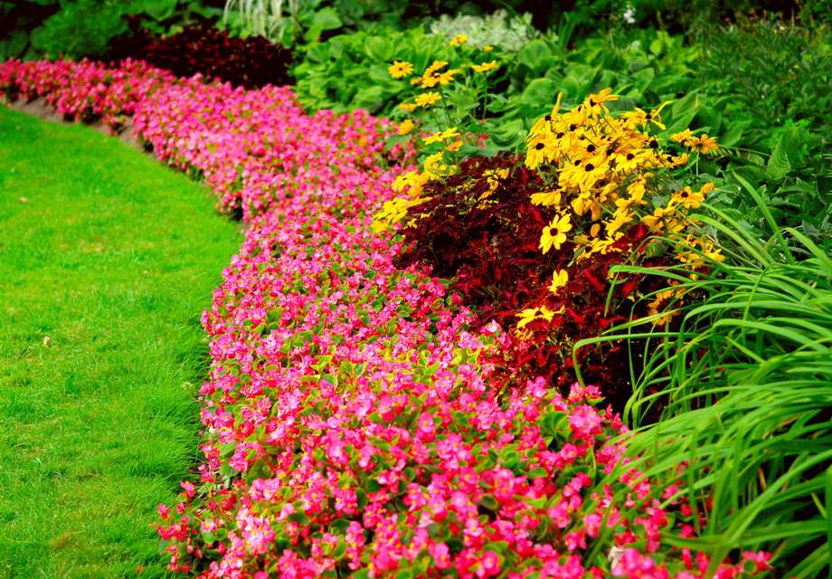 Landscaping Image